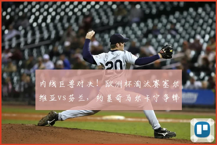 内线巨兽对决！欧洲杯淘汰赛塞尔维亚vs芬兰，约基奇马尔卡宁争锋