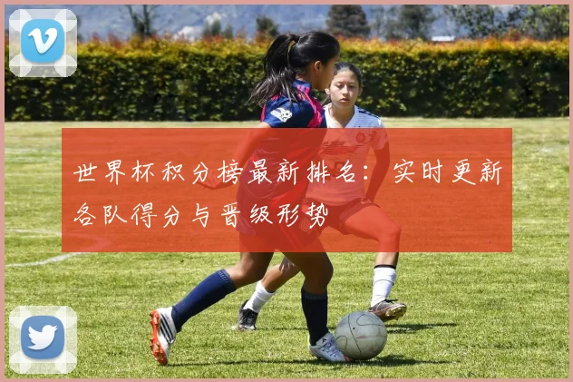 世界杯积分榜最新排名：实时更新各队得分与晋级形势
